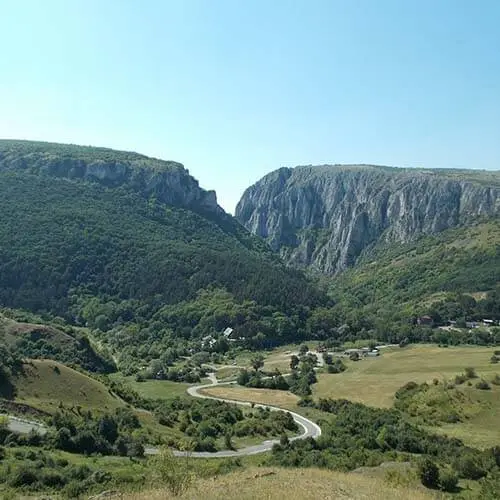 Medic Stomatolog cluj-napoca Dr. Crina Lobonț în Transilvania